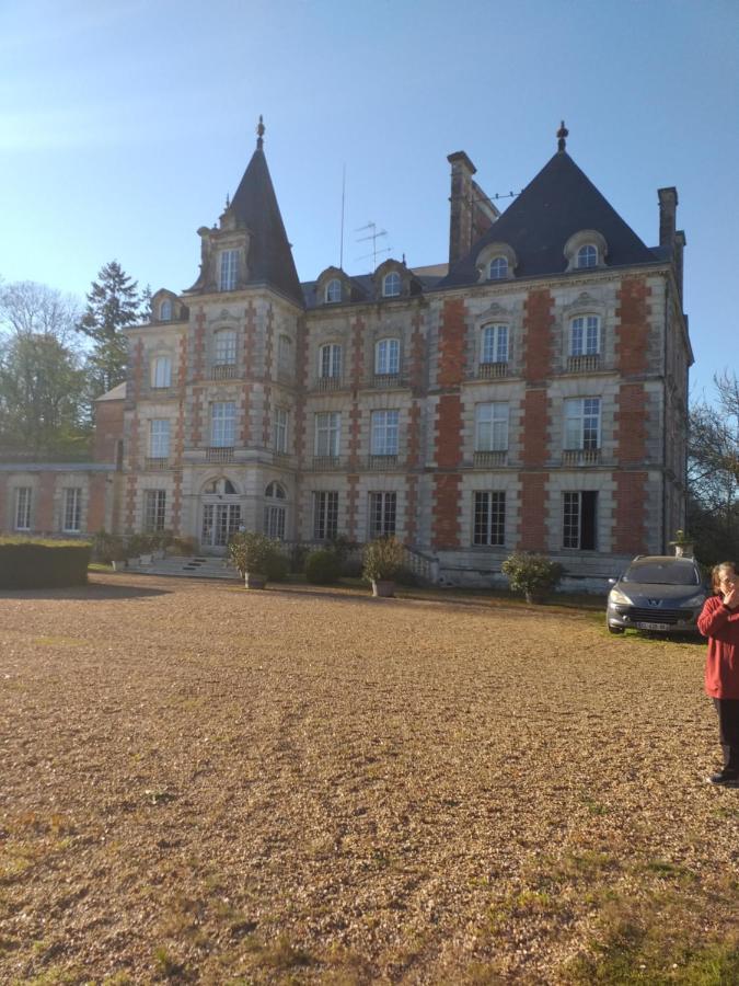 Chateau De Rocheux Freteval 외부 사진